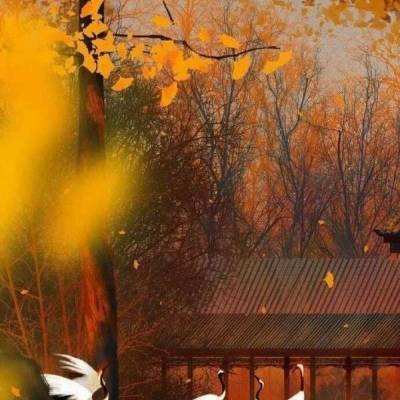 三名游客误入野山迷路，北京门头沟消防灌木丛中开路10小时救援